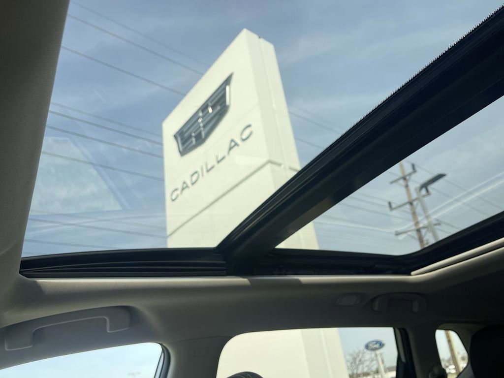 Used 2017 Nissan Rogue SL w/ SL Premium Package image 32