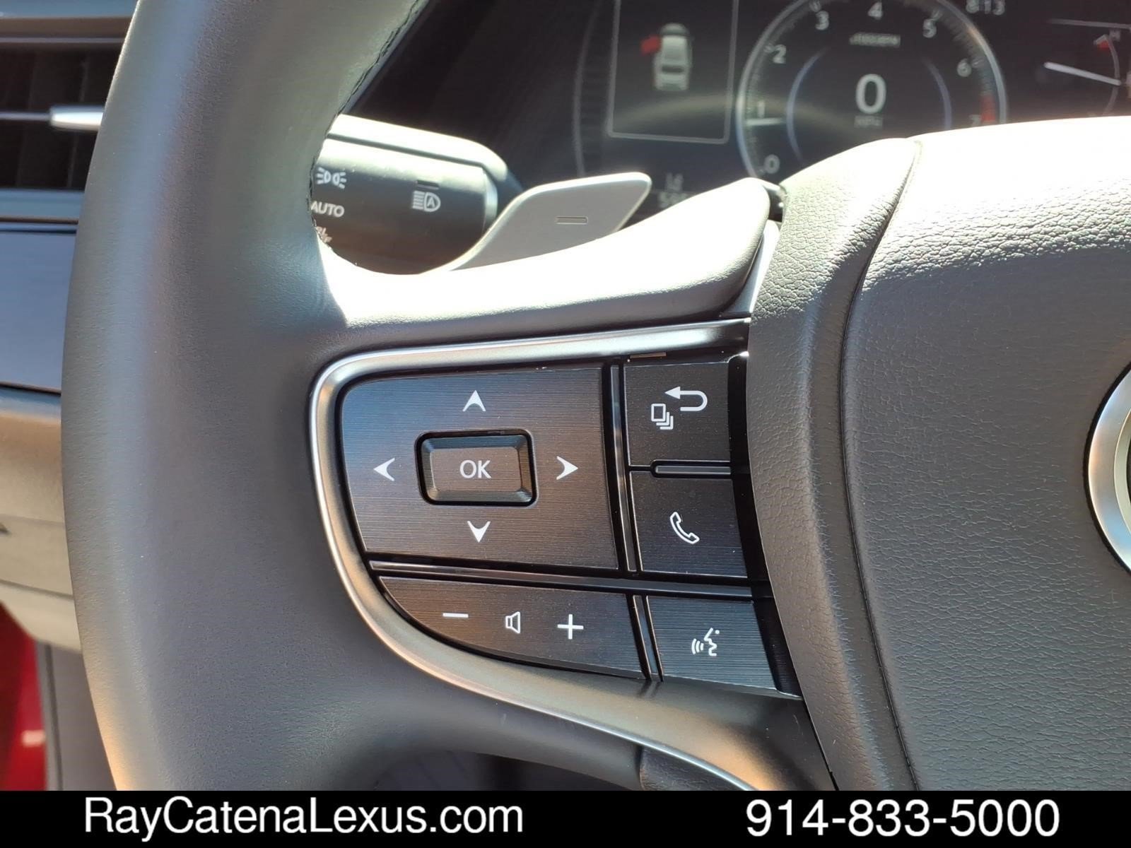 Certified 2024 Lexus ES 250 w/ Premium Package AWD/4WD image 14