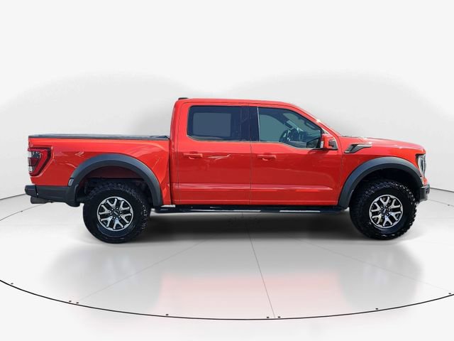 Used 2021 Ford F150 Raptor w/ Equipment Group 801A High AWD/4WD image 2