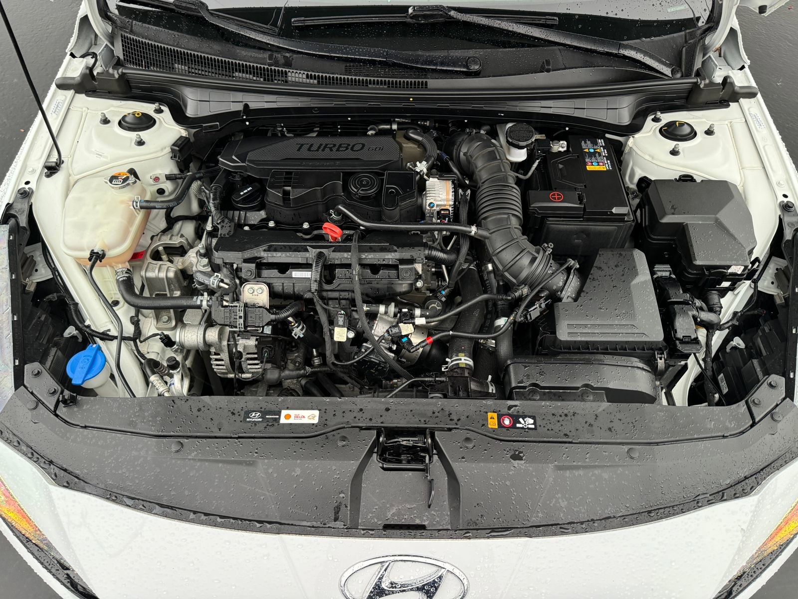 Used 2022 Hyundai Elantra N Line image 24