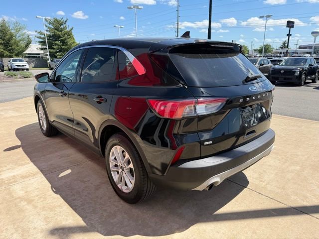 Used 2020 Ford Escape SE AWD/4WD image 6