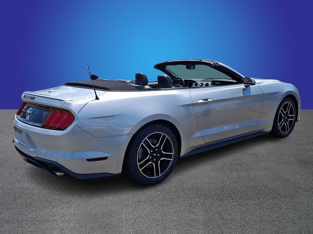 Used 2019 Ford Mustang Premium RWD image 4