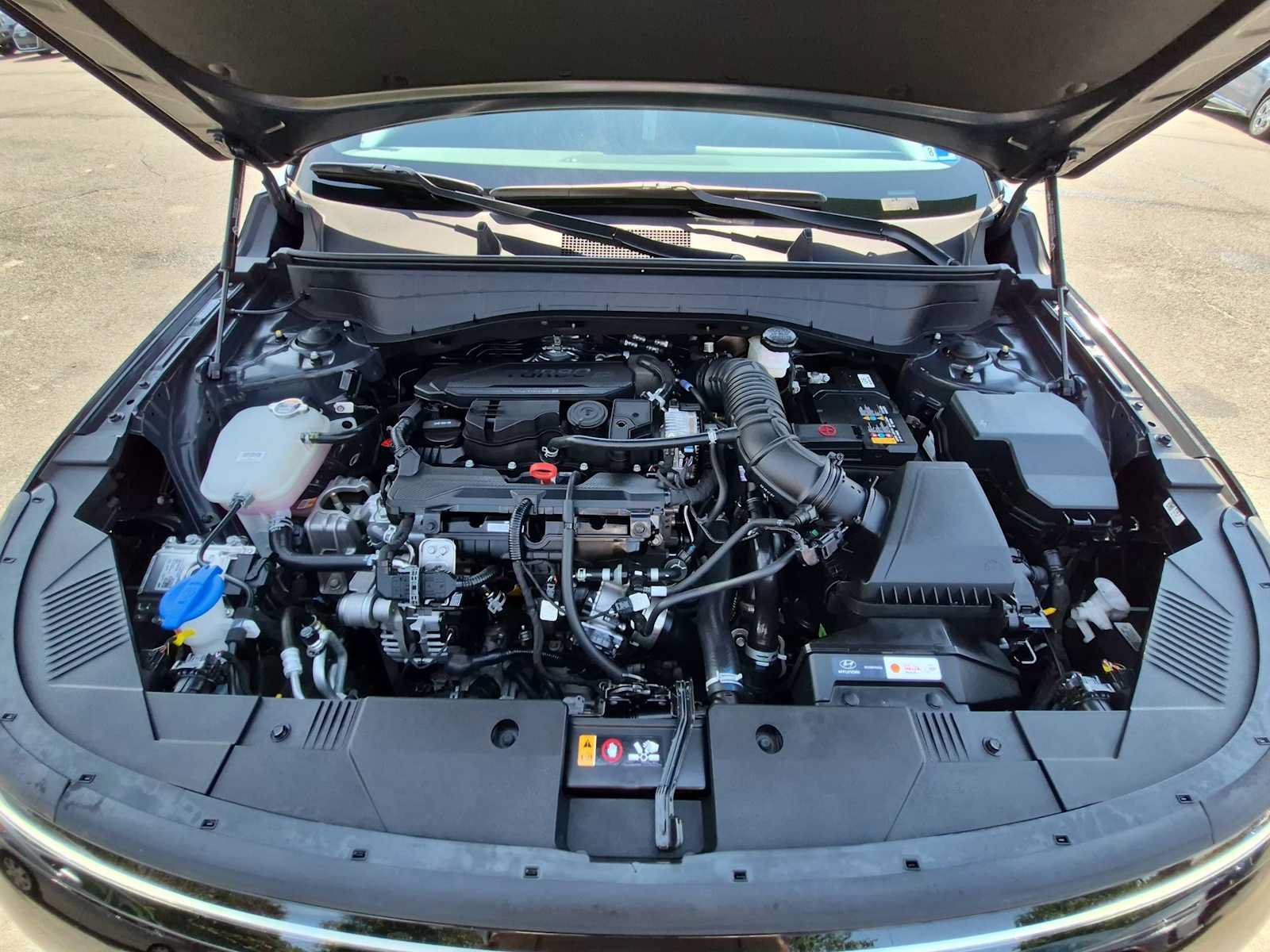 Used 2024 Hyundai Kona N Line AWD/4WD image 15