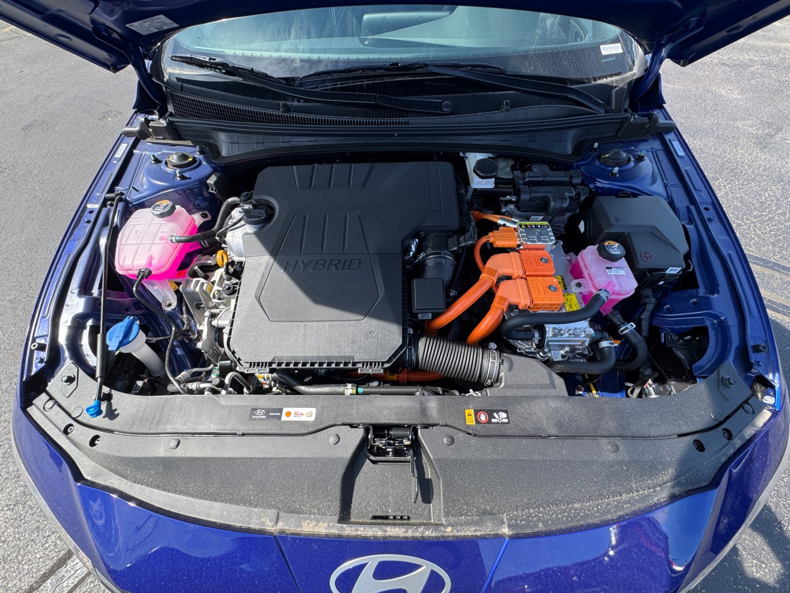 New 2025 Hyundai Elantra SEL image 20