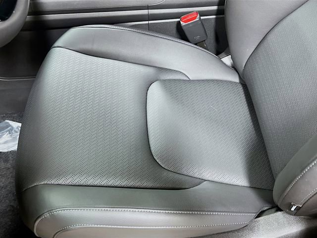 New 2026 Kia Carnival SX Prestige image 20