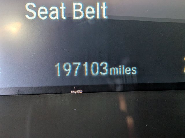 Used 2017 Honda CR-V EX image 11