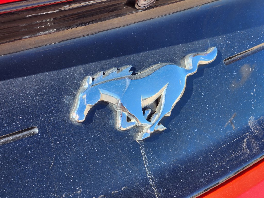 Used 2019 Ford Mustang Premium RWD image 12