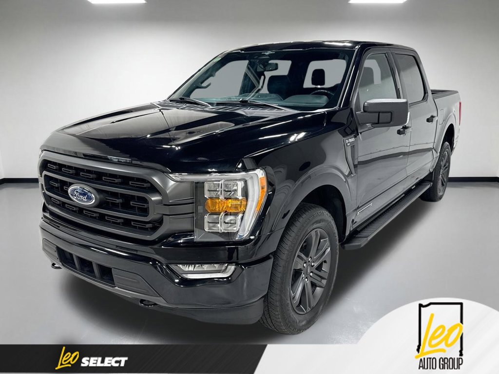 Used 2023 Ford F150 XLT w/ Equipment Group 302A High