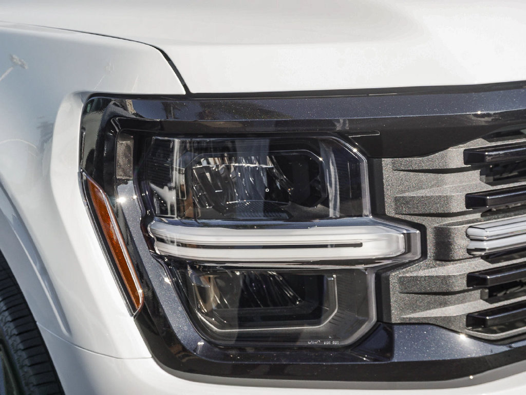 New 2026 Ford F150 STX w/ F-150 LOBO Package AWD/4WD image 10