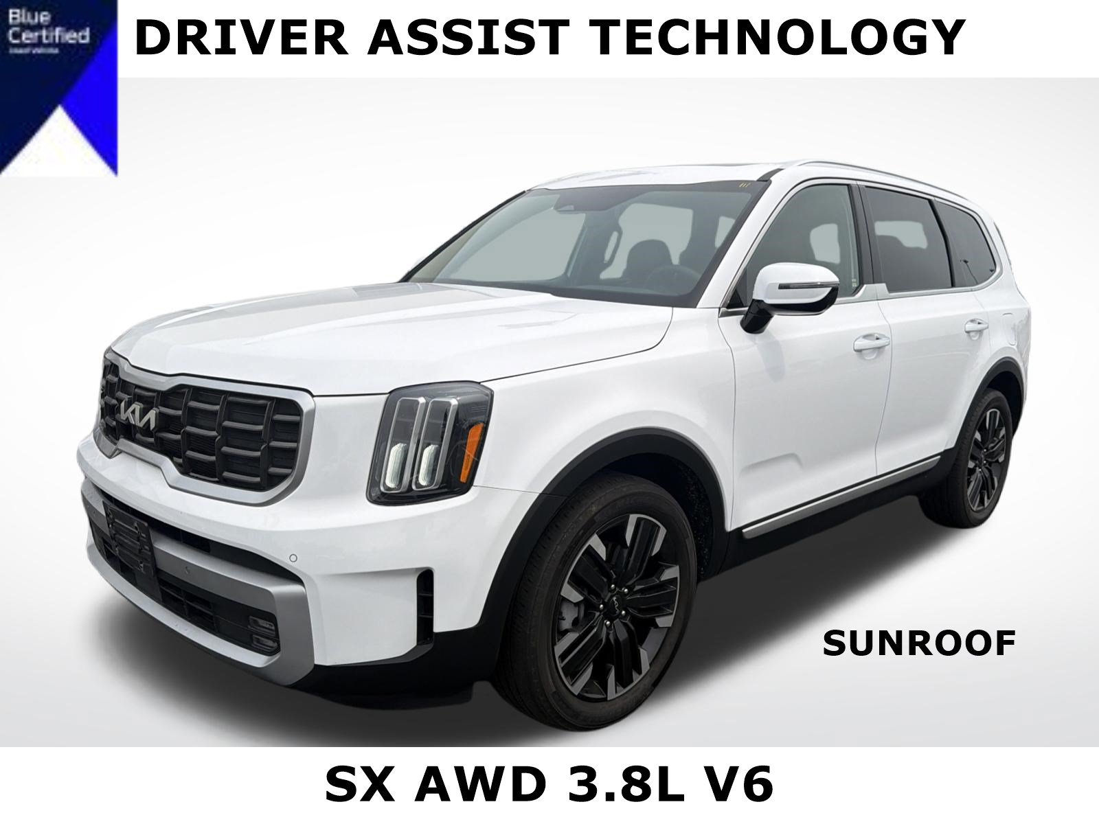 Used 2023 Kia Telluride SX AWD/4WD image 1