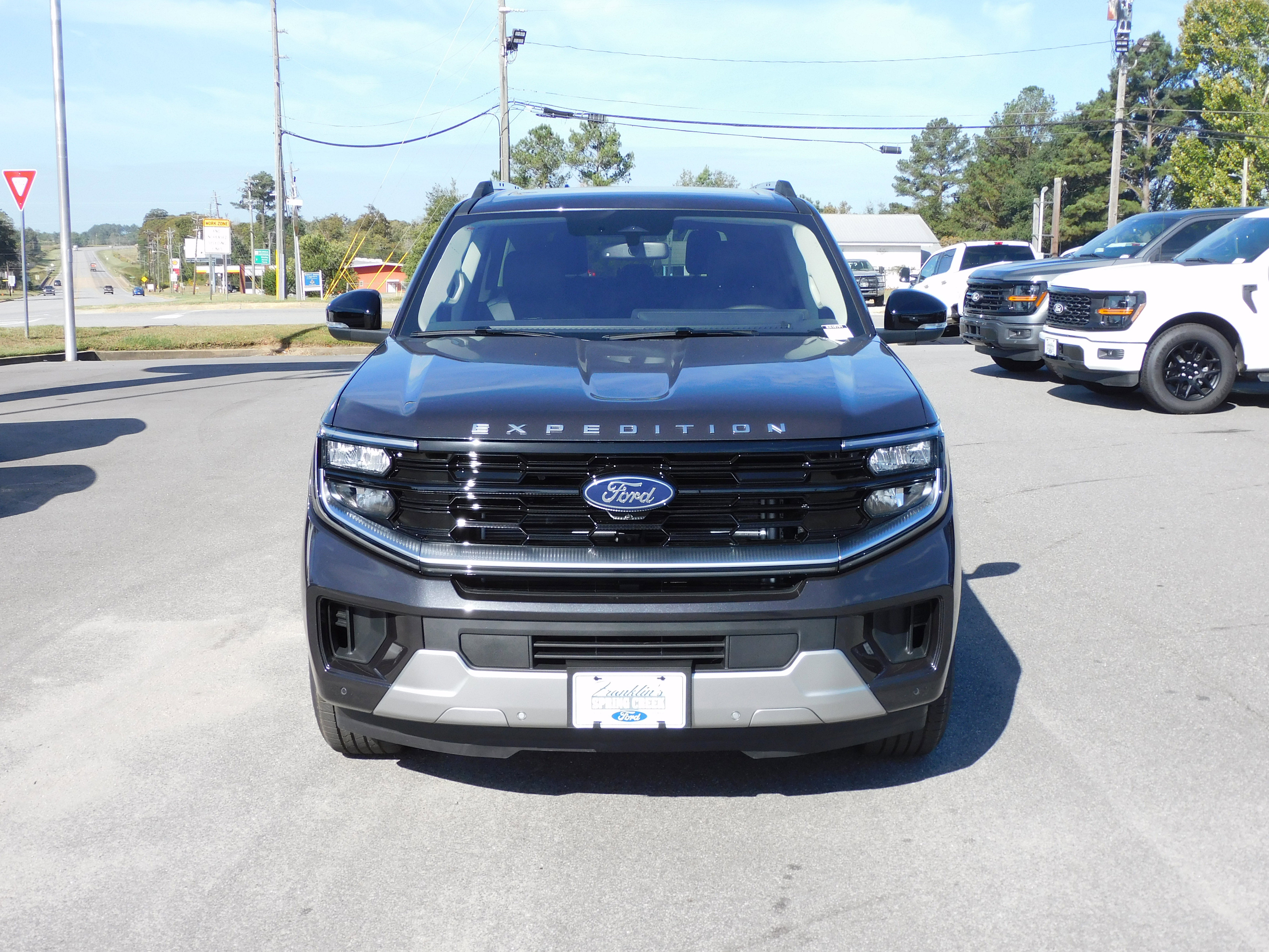 New 2025 Ford Expedition Platinum image 3