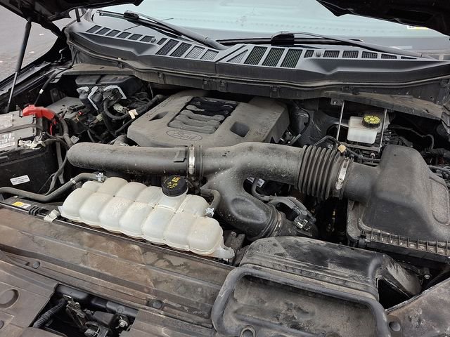 Used 2023 Ford F150 XLT image 28
