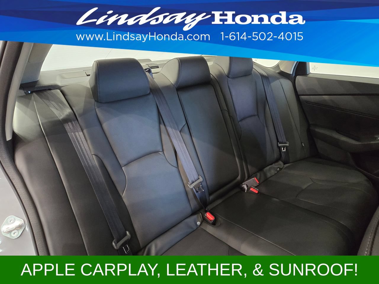 Used 2026 Honda Accord EX-L image 10