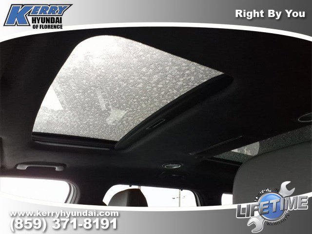 New 2026 Hyundai Palisade Calligraphy image 10