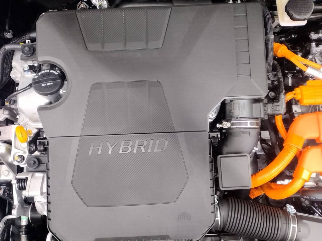 New 2025 Hyundai Elantra SEL image 6