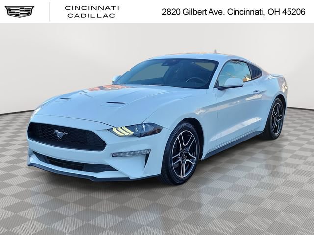 Used 2022 Ford Mustang Coupe w/ Equipment Group 101A RWD image 1