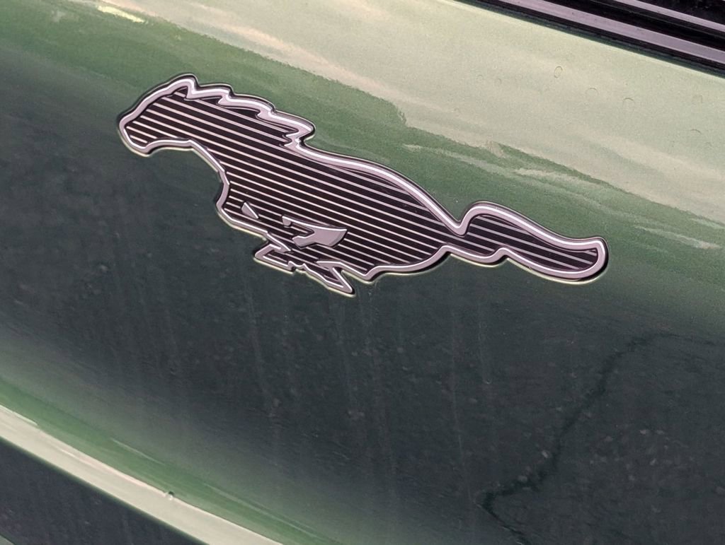 New 2025 Ford Mustang Mach-E Premium image 13