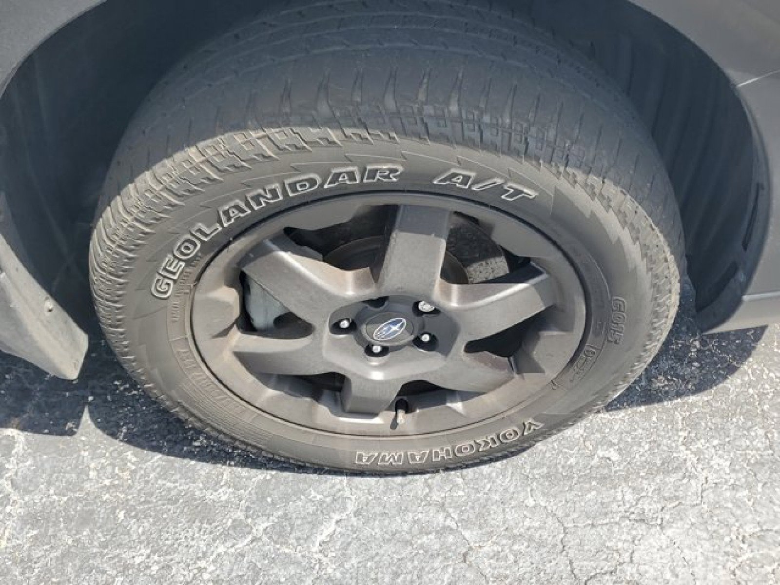 Used 2024 Subaru Outback Wilderness AWD/4WD image 10