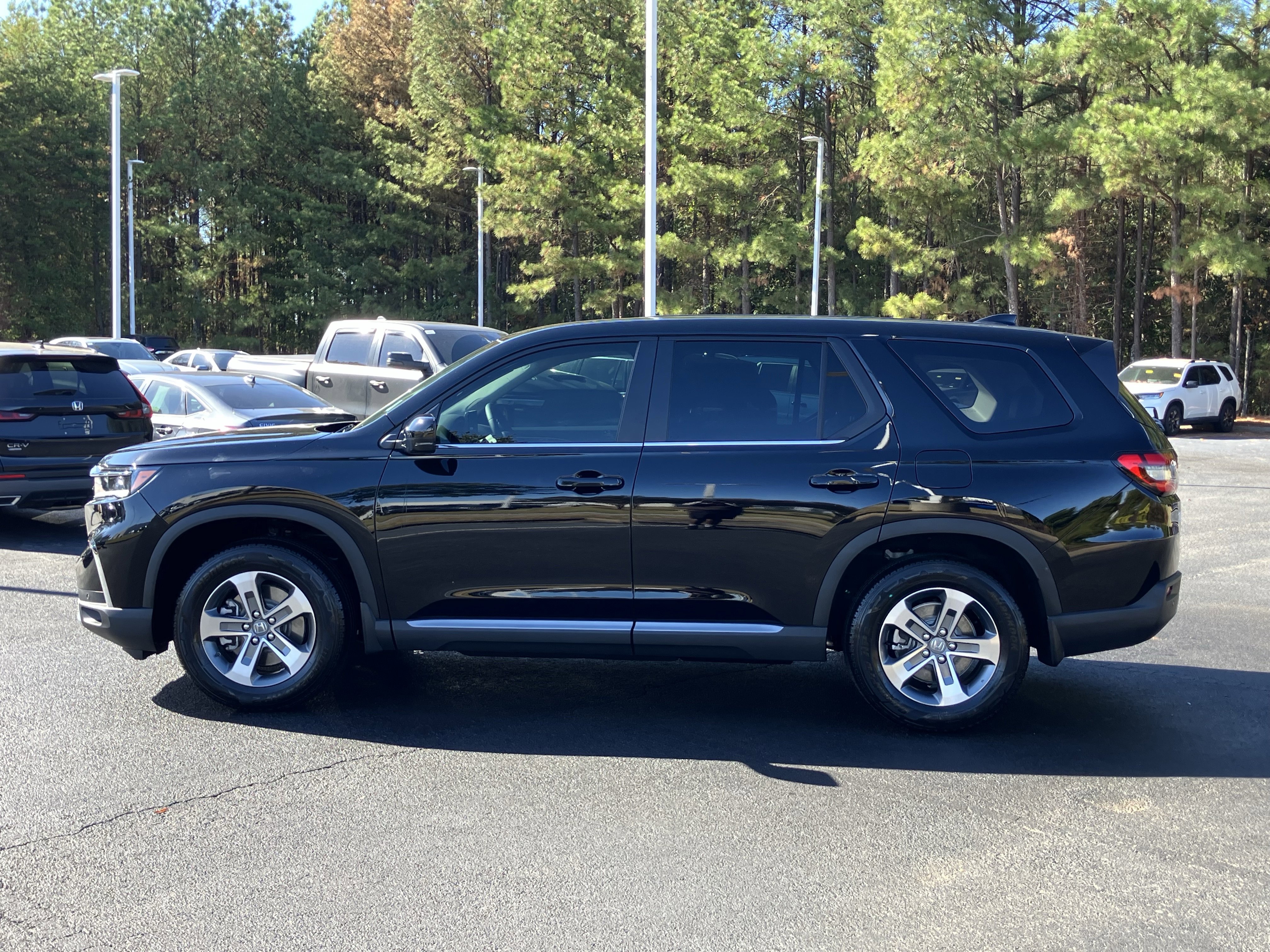 Certified 2025 Honda Pilot EX-L image 7