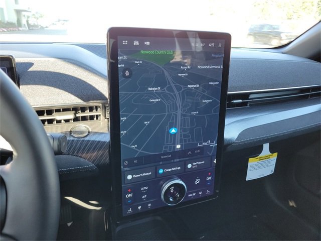 New 2025 Ford Mustang Mach-E GT image 20