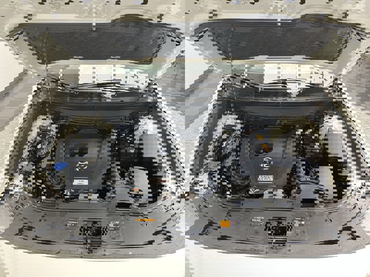 Certified 2022 MAZDA CX-9 Signature image 31