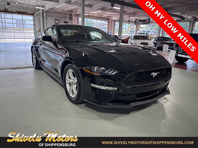 Used 2022 Ford Mustang EcoBoost image 7