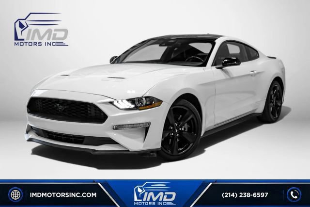 Used 2023 Ford Mustang Premium w/ Mustang Nite Pony Package RWD video 1
