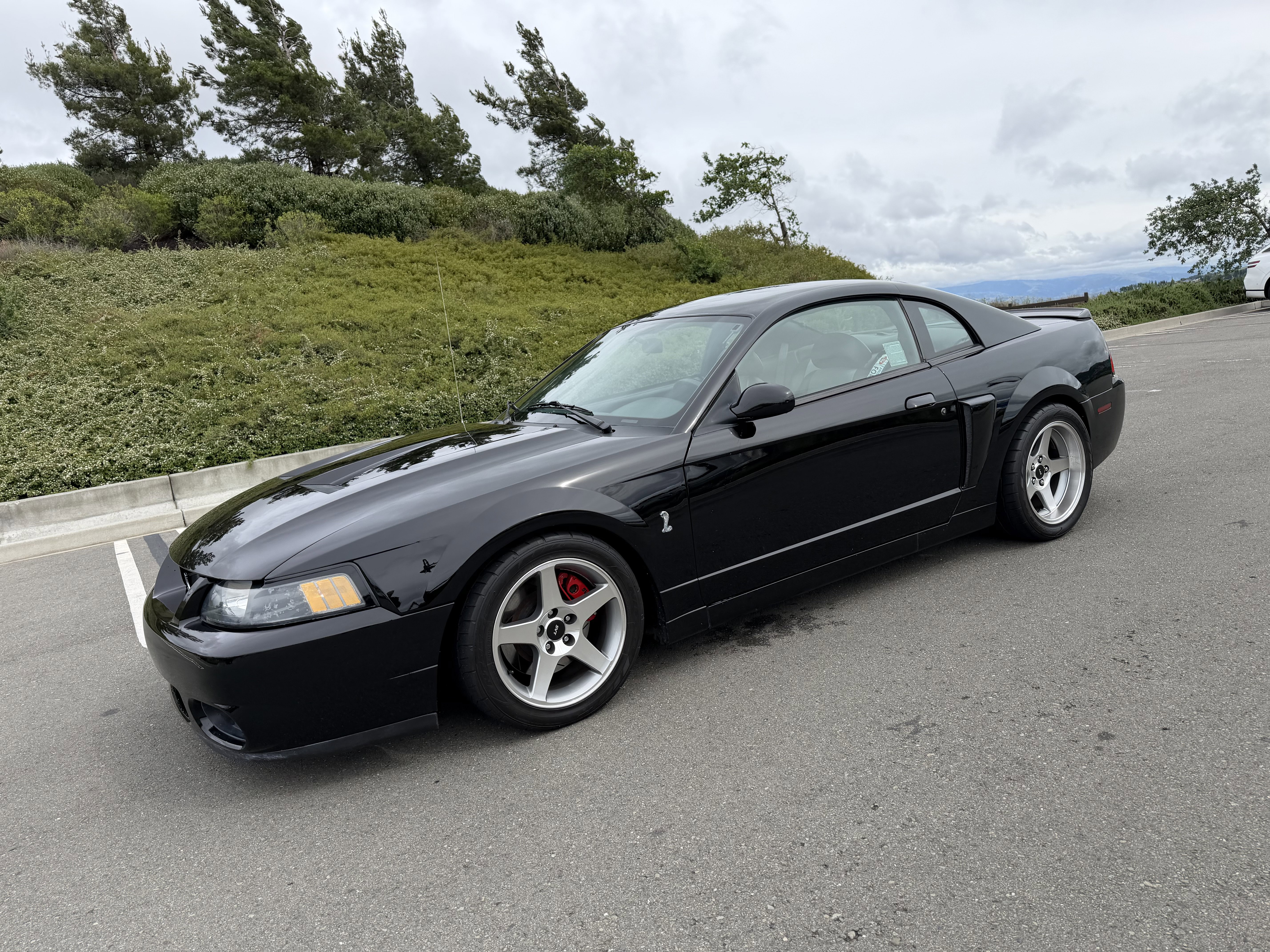 Used 2003 Ford Mustang Cobra