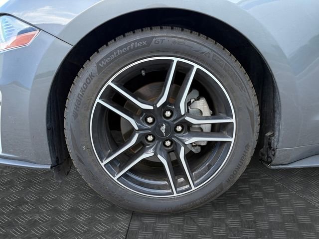 Used 2023 Ford Mustang Premium RWD image 13