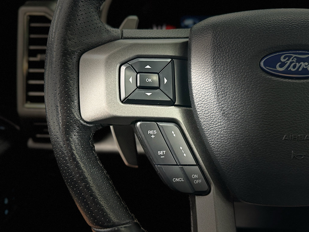Used 2019 Ford F150 Raptor w/ Equipment Group 802A Luxury AWD/4WD image 19