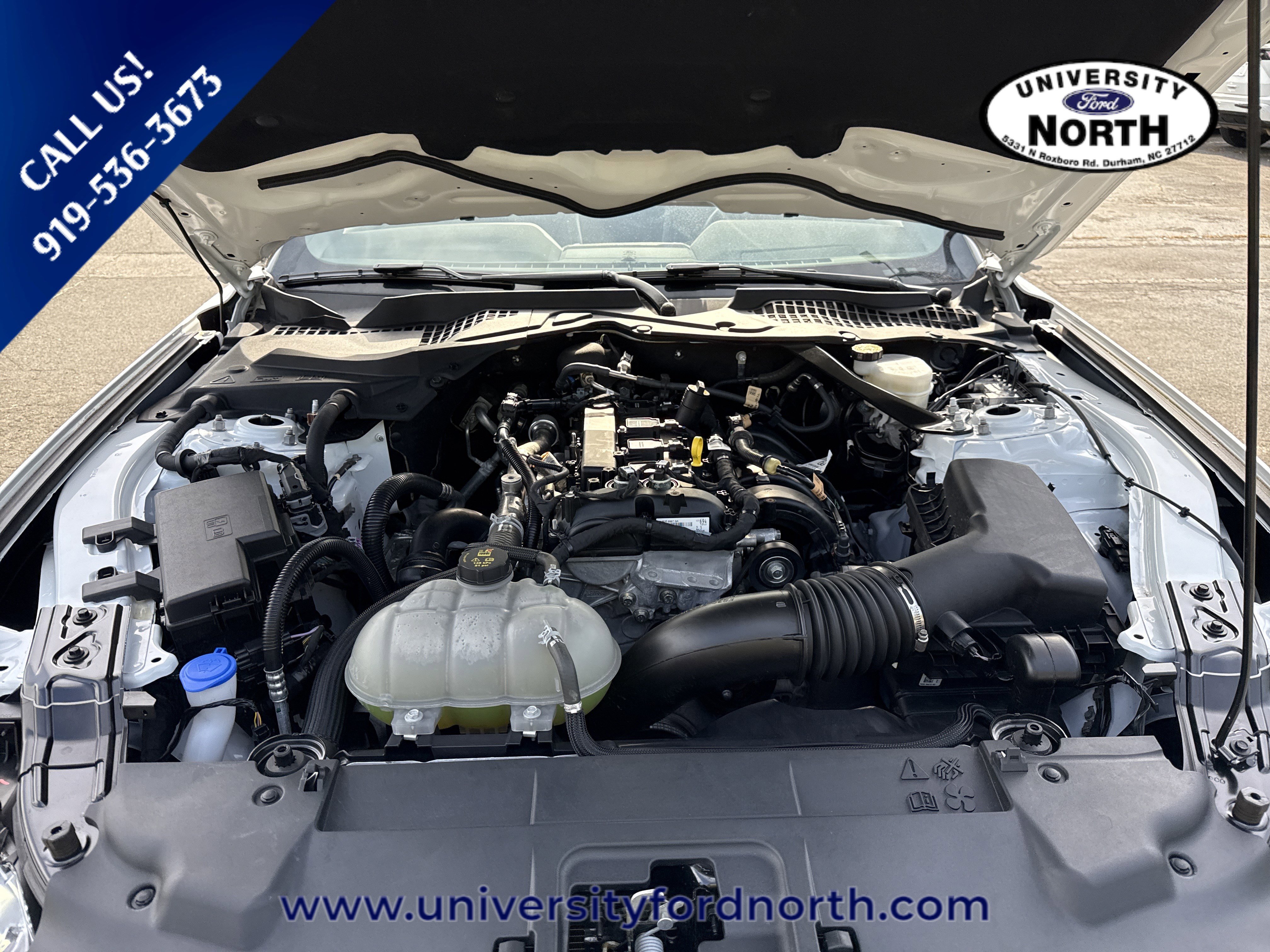 Used 2023 Ford Mustang Convertible w/ Equipment Group 101A RWD image 7