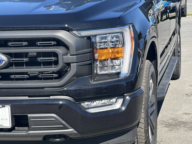 New 2023 Ford F150 XLT w/ Equipment Group 302A High image 39
