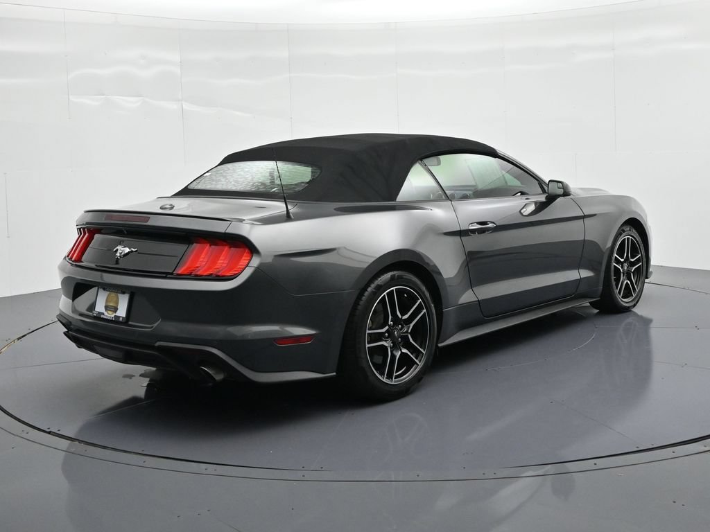 Certified 2019 Ford Mustang Premium RWD image 6