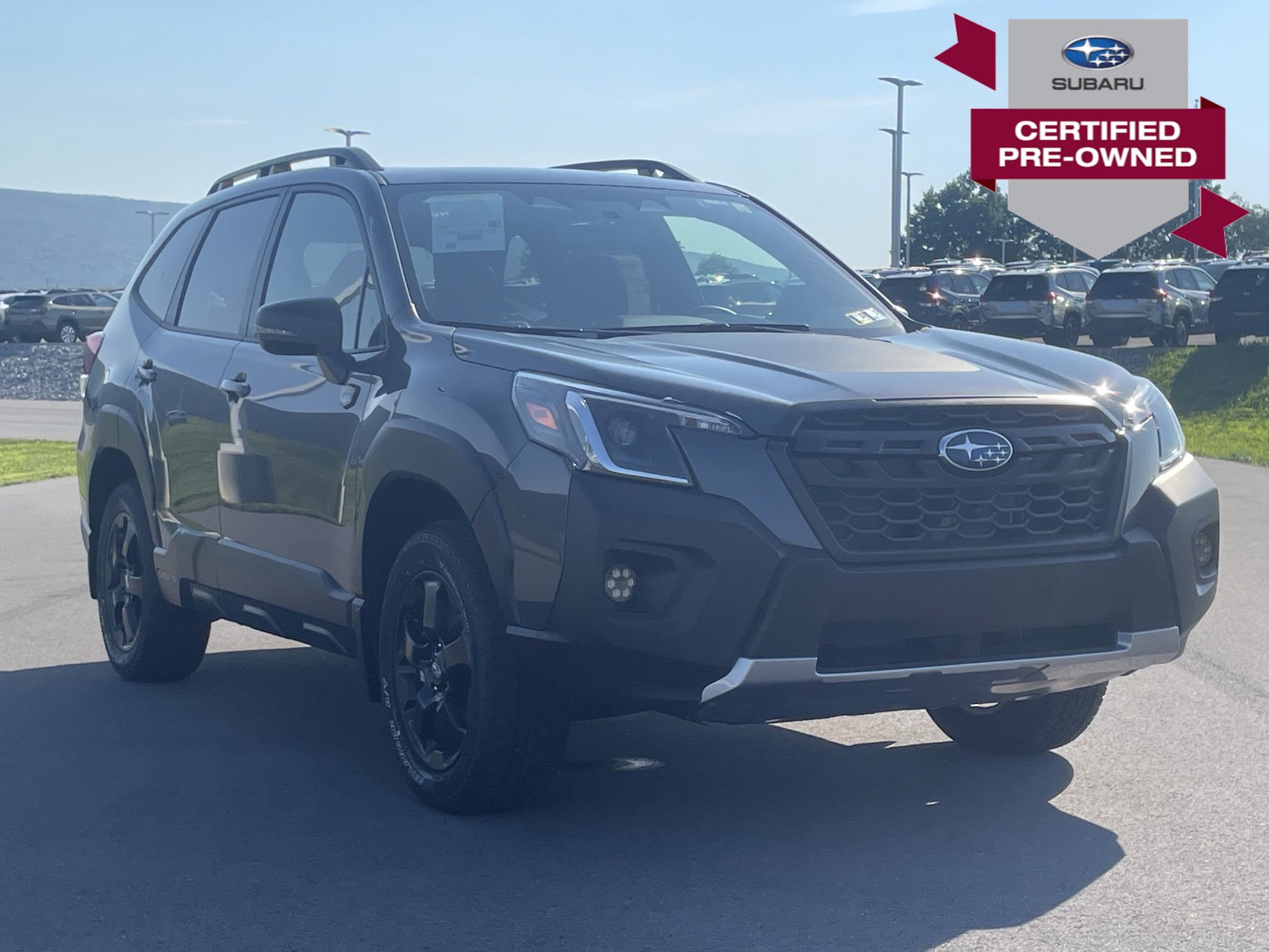 Used 2025 Subaru Forester Wilderness AWD/4WD image 1