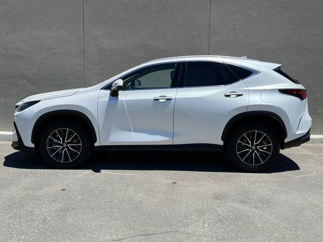 Certified 2025 Lexus NX 350 AWD w/ Cold Area Package image 6
