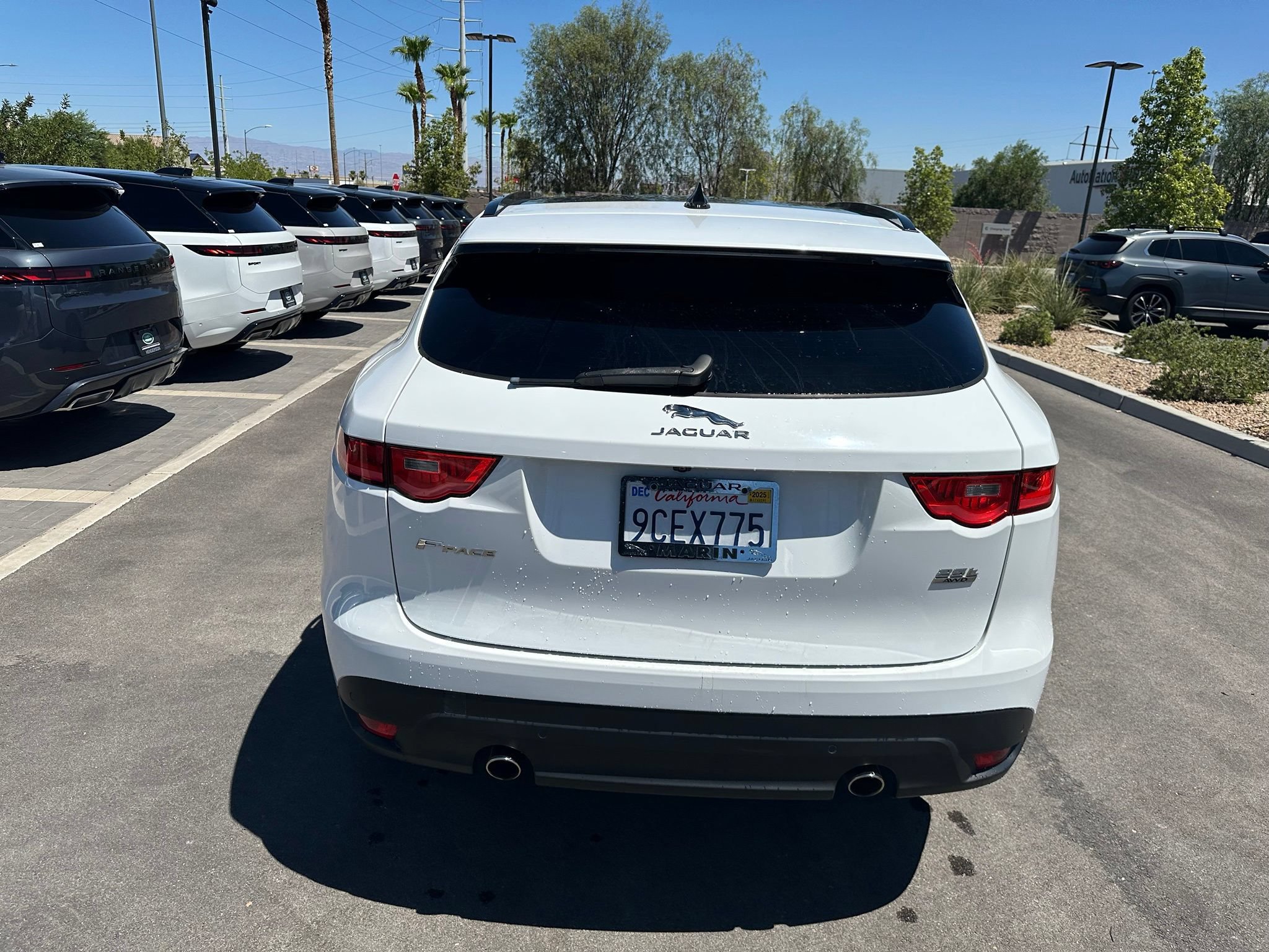 Used 2019 Jaguar F-PACE Prestige AWD/4WD image 7