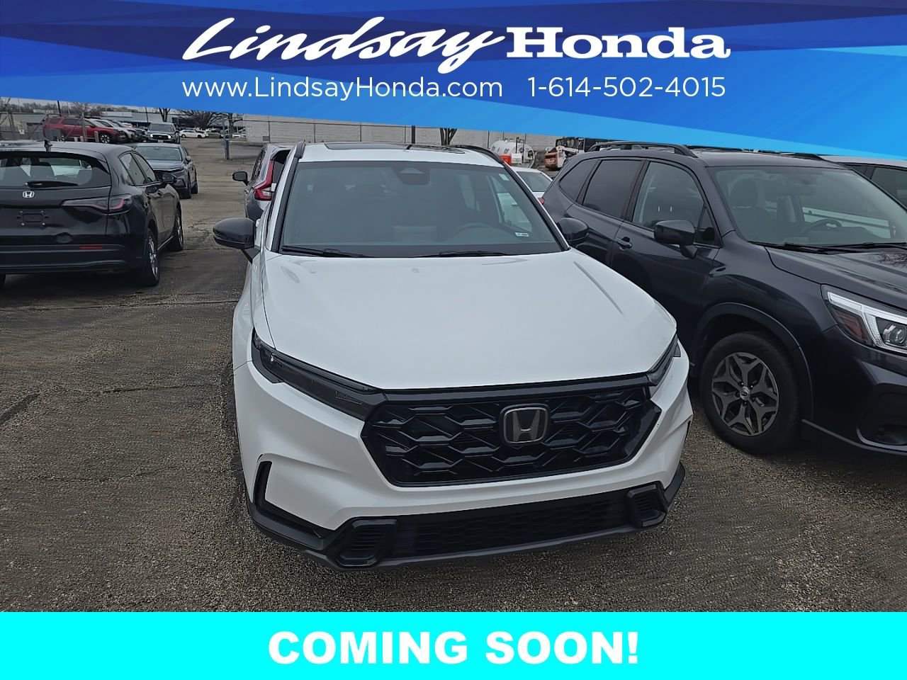 Used 2023 Honda CR-V Sport image 6