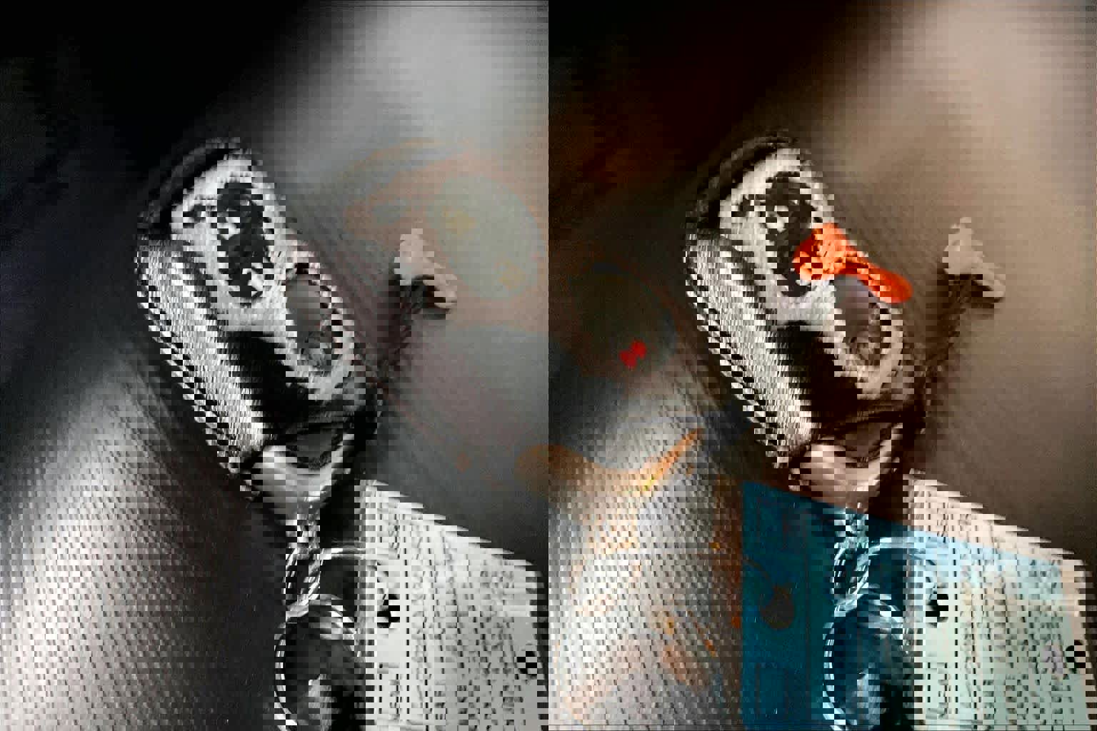 Used 2014 Lexus CT 200h Hybrid image 15