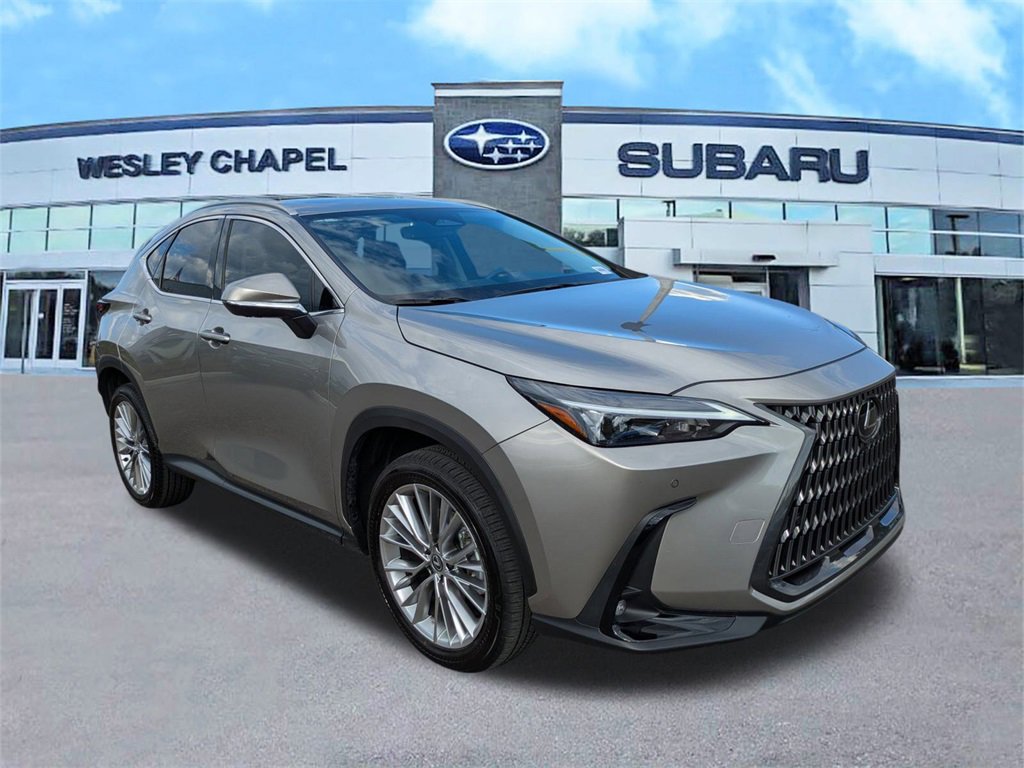Used 2025 Lexus NX 350 AWD w/ Premium Package