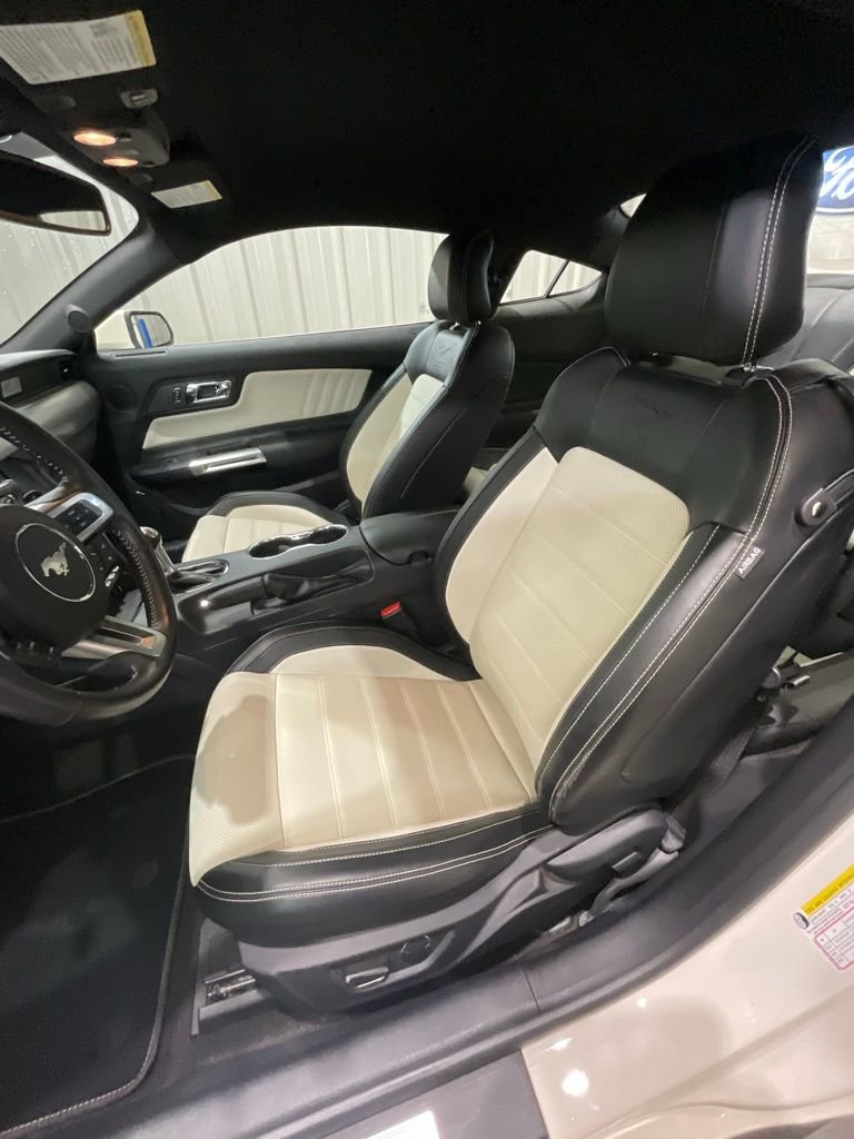 Used 2015 Ford Mustang 50 Years image 10