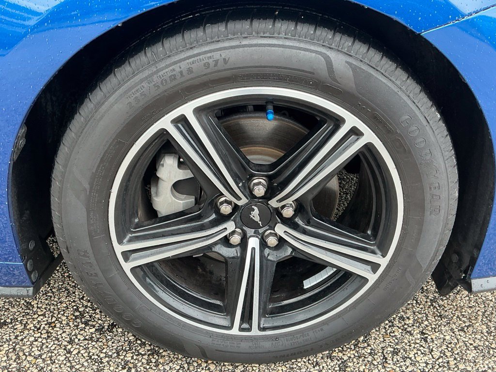 Certified 2024 Ford Mustang Coupe RWD image 10