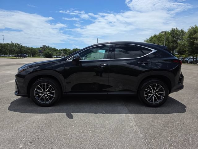 Used 2023 Lexus NX 250 FWD w/ Cold Area Package image 6