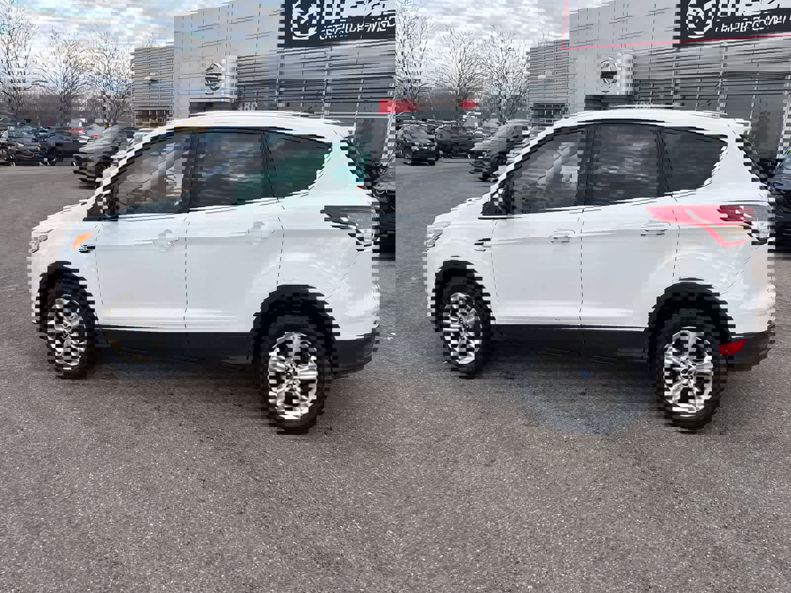 Used 2014 Ford Escape SE image 8