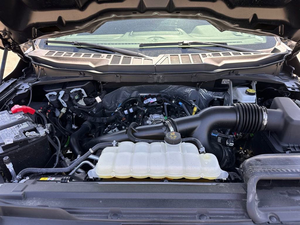 Used 2025 Ford F150 XLT w/ Equipment Group 301A Standard image 33