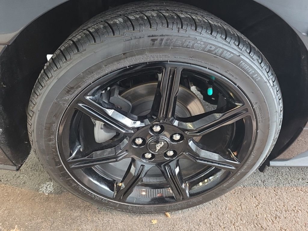 Certified 2020 Ford Mustang Premium w/ Equipment Group 201A image 11