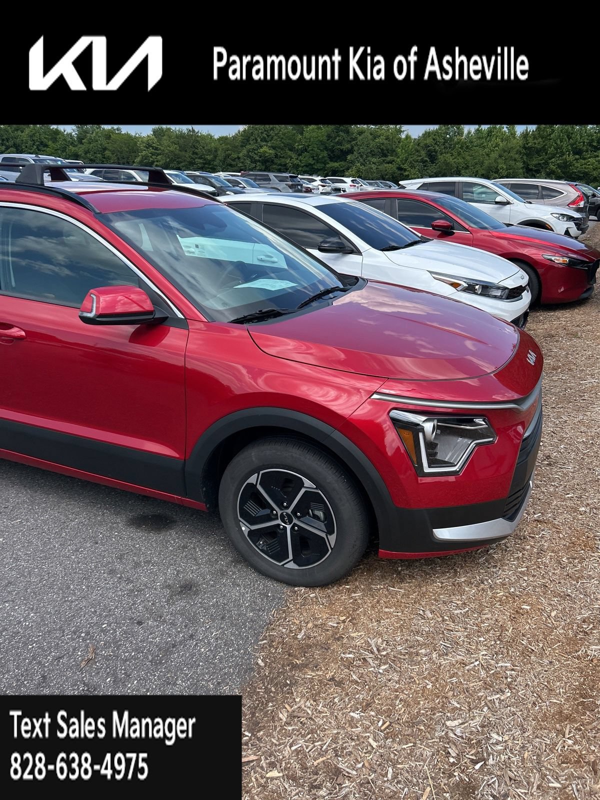 Certified 2025 Kia Niro EX FWD image 3