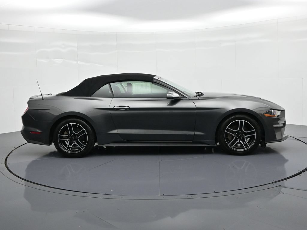 Certified 2019 Ford Mustang Premium RWD image 5