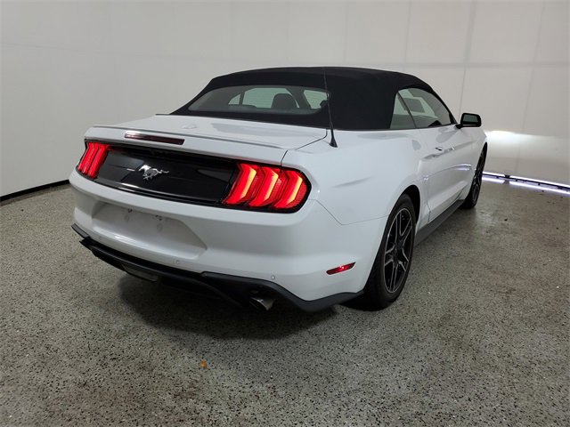 Used 2023 Ford Mustang Premium w/ Equipment Group 201A image 5