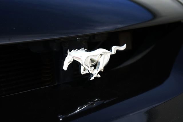 Used 1997 Ford Mustang Cobra image 14