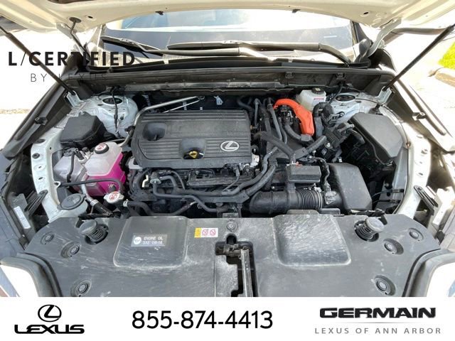 Certified 2024 Lexus NX 350h AWD w/ Cold Area Package image 23